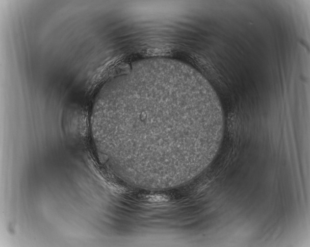 X0000100420741200806201822
