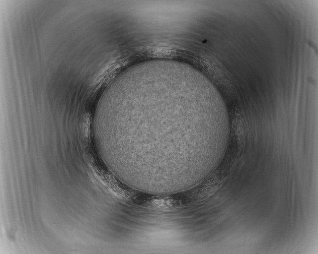 X0000100420744200806201822