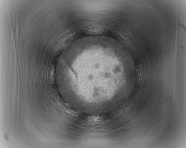 X0000100420745200806201822