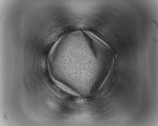 X0000100420746200806201822