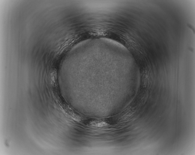 X0000100420747200806201822