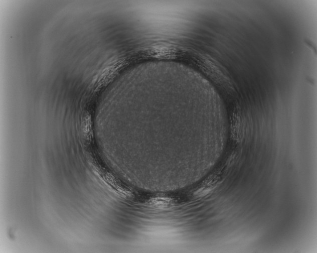 X0000100420748200806201822