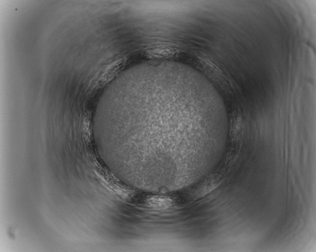 X0000100420749200806201822