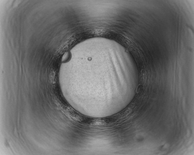 X0000100420750200806201822