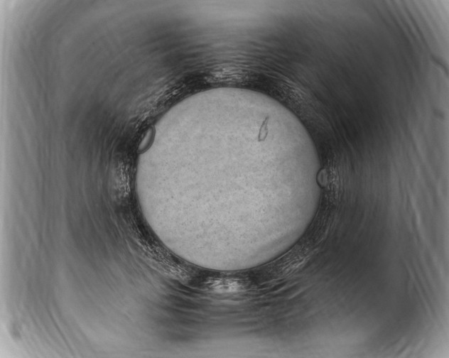 X0000100420751200806201822
