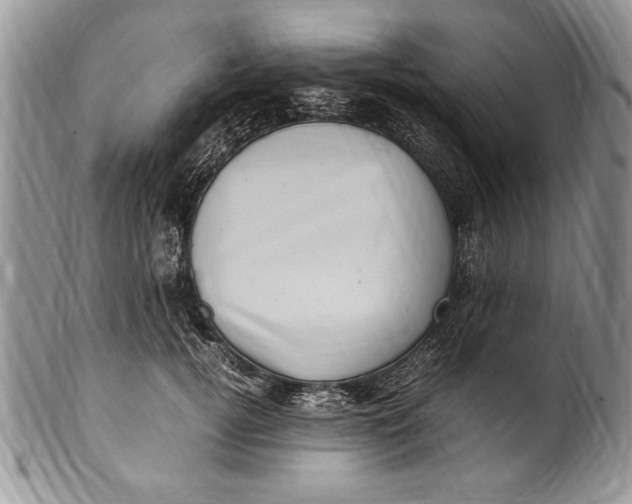 X0000100420752200806201822