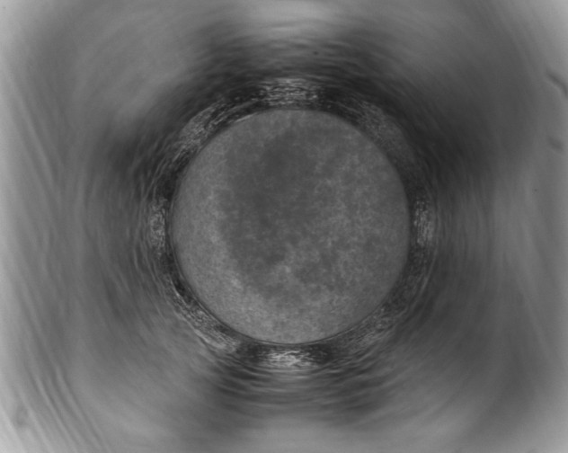 X0000100420753200806201822