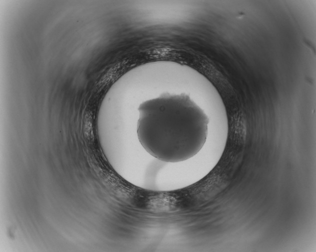 X0000100420754200806201822