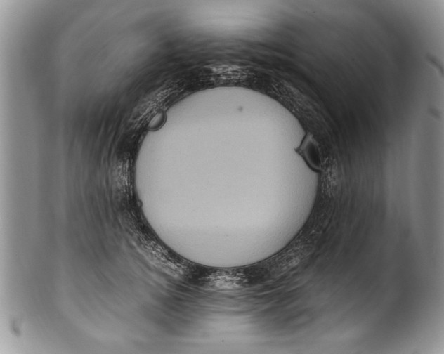X0000100420756200806201822