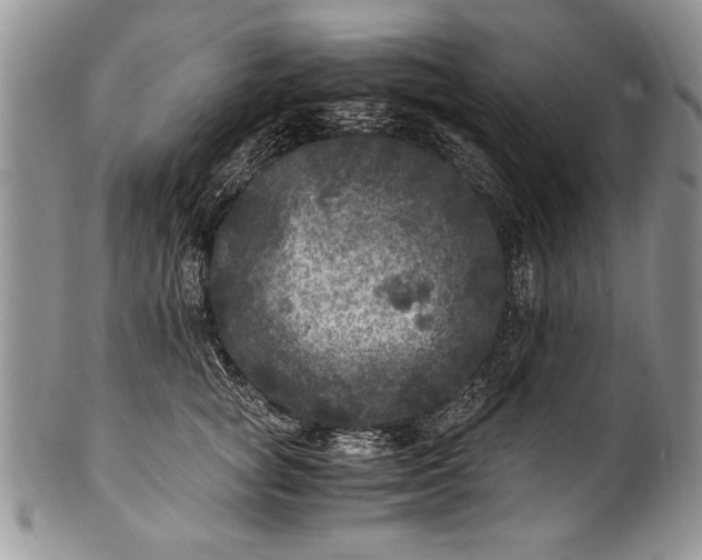 X0000100420757200806201822
