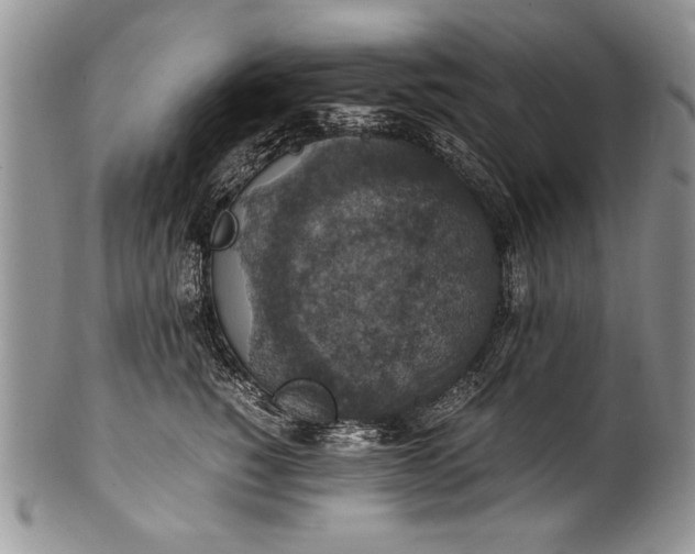 X0000100420760200806201822