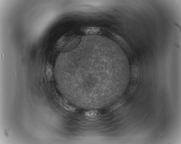 X0000100420761200806201822