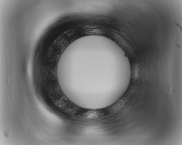 X0000100420764200806201822