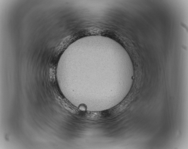 X0000100420768200806201822