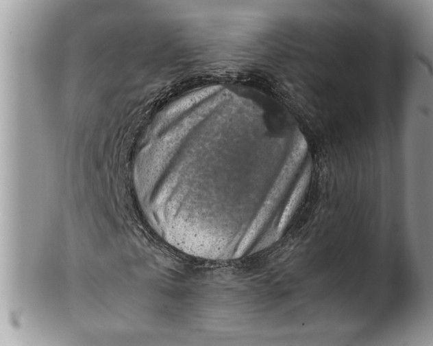 X0000100420769200806201822
