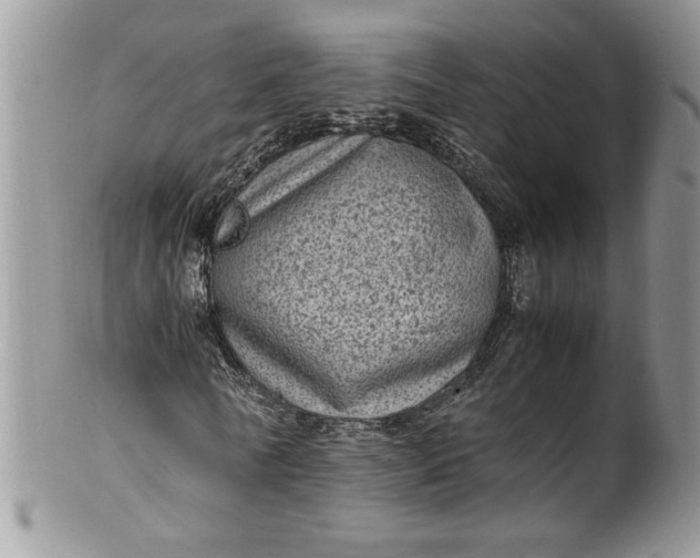 X0000100420770200806201822