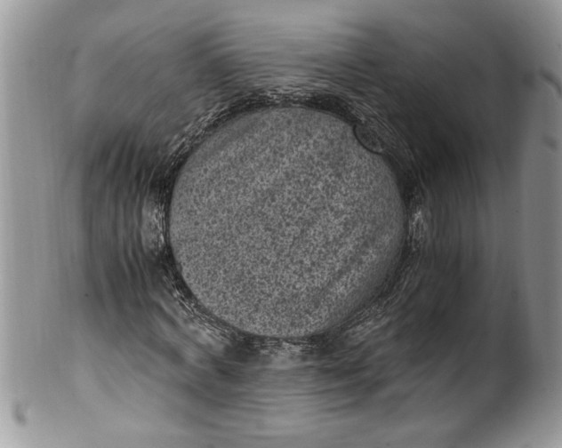 X0000100420772200806201822