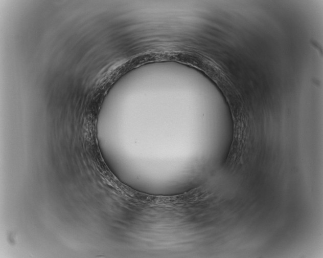 X0000100420773200806201822