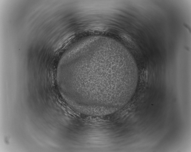X0000100420774200806201822