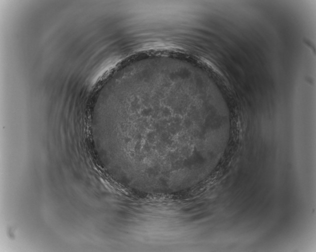 X0000100420775200806201822