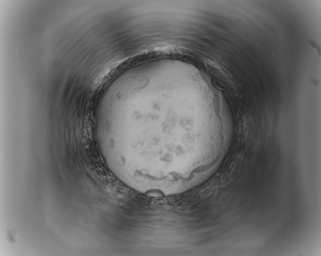 X0000100420776200806201822