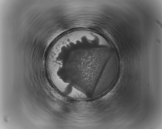 X0000100420779200806201822
