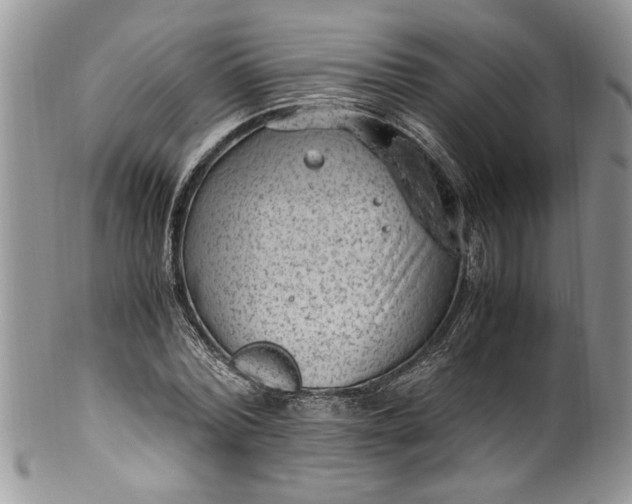 X0000100420780200806201822