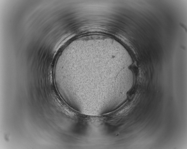 X0000100420782200806201822