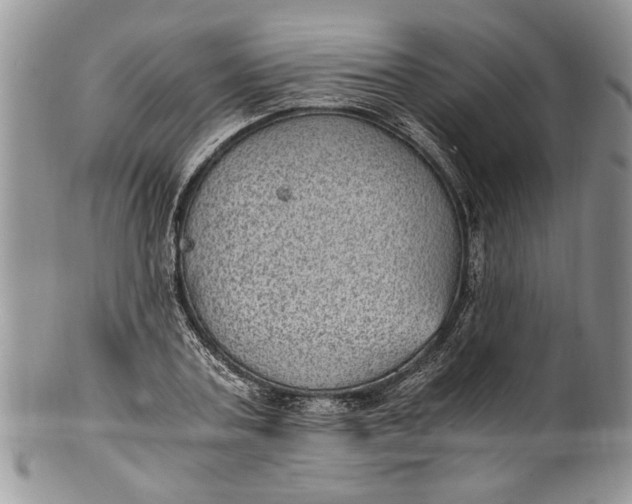 X0000100420787200806201821