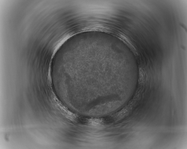 X0000100420788200806201821