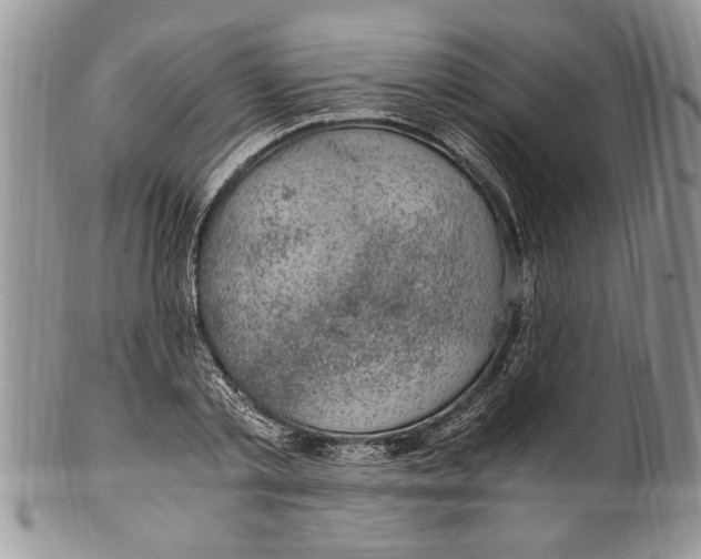 X0000100420789200806201821