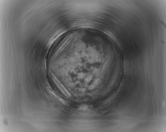 X0000100420790200806201821