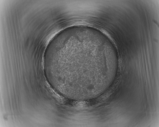 X0000100420791200806201821