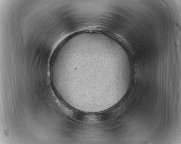 X0000100420792200806201821