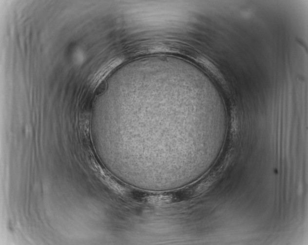 X0000100420793200806201821
