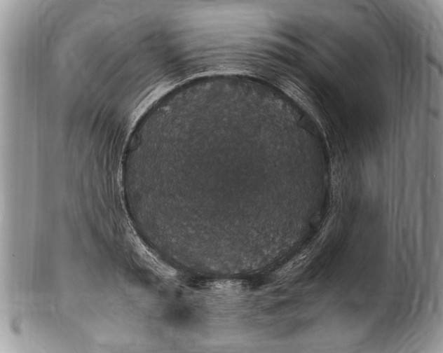 X0000100420797200806201821