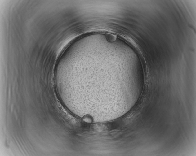 X0000100420799200806201821