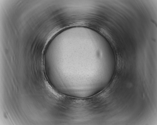 X0000100420800200806201821