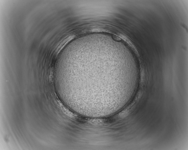 X0000100420801200806201821