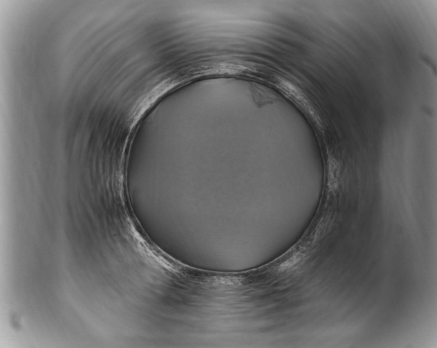 X0000100420802200806201821