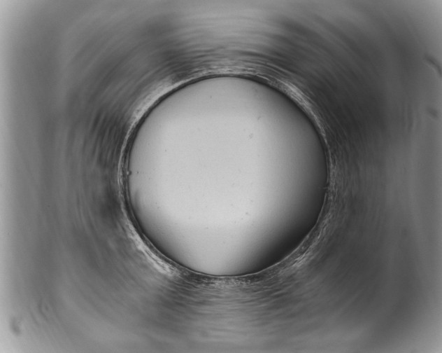 X0000100420803200806201821