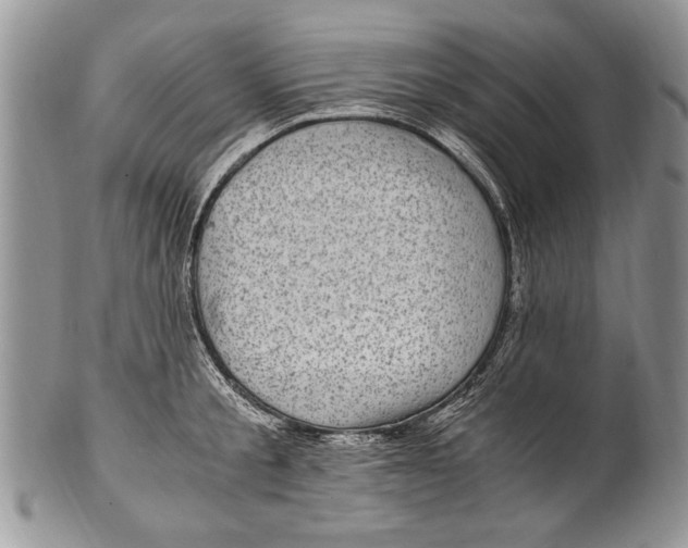 X0000100420805200806201821