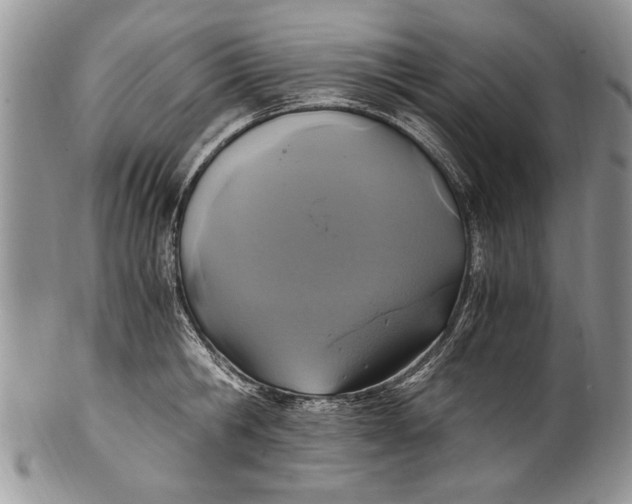 X0000100420806200806201821