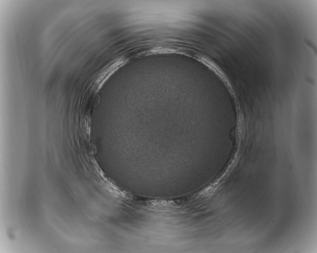 X0000100420809200806201821