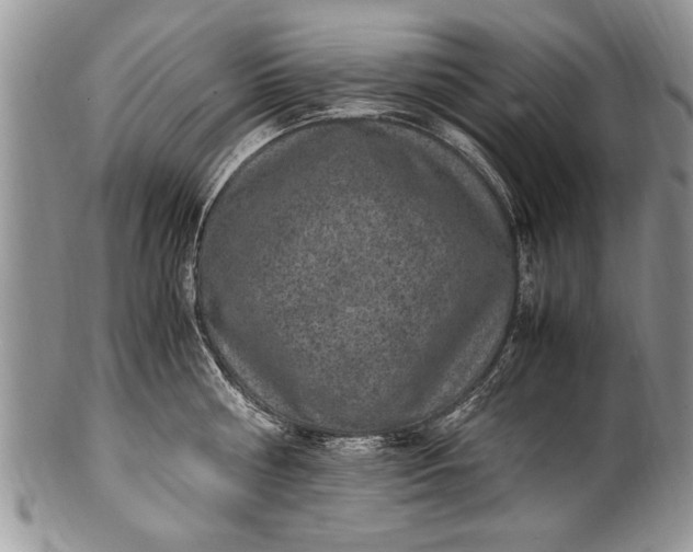 X0000100420810200806201821