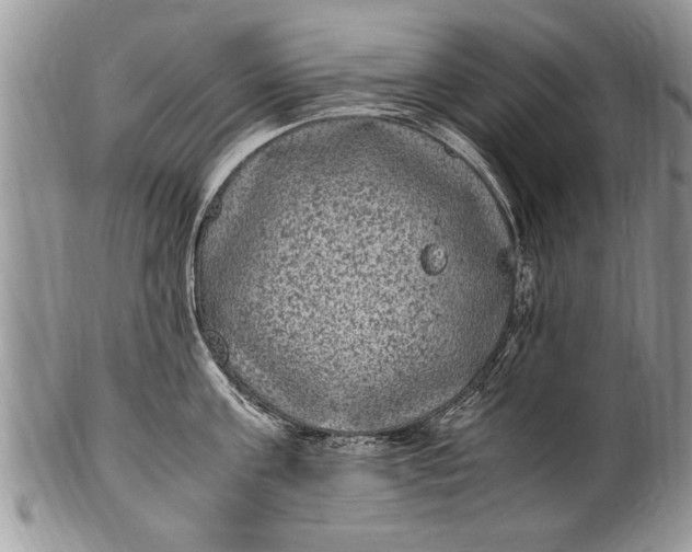 X0000100420811200806201821