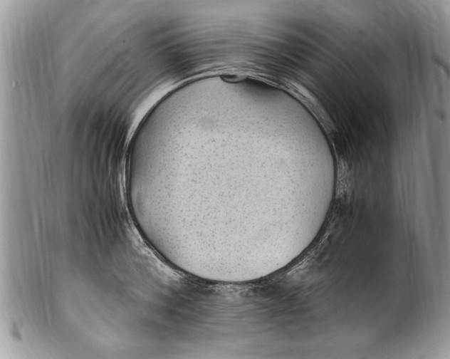 X0000100420812200806201821