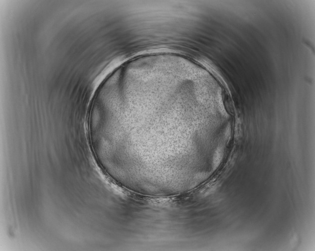 X0000100420813200806201821