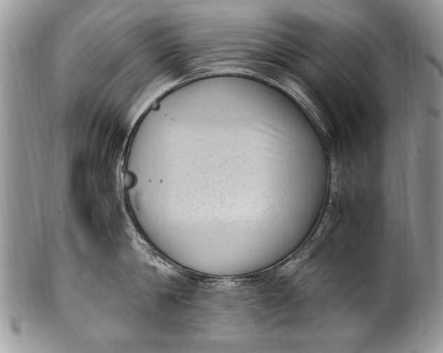 X0000100420814200806201821