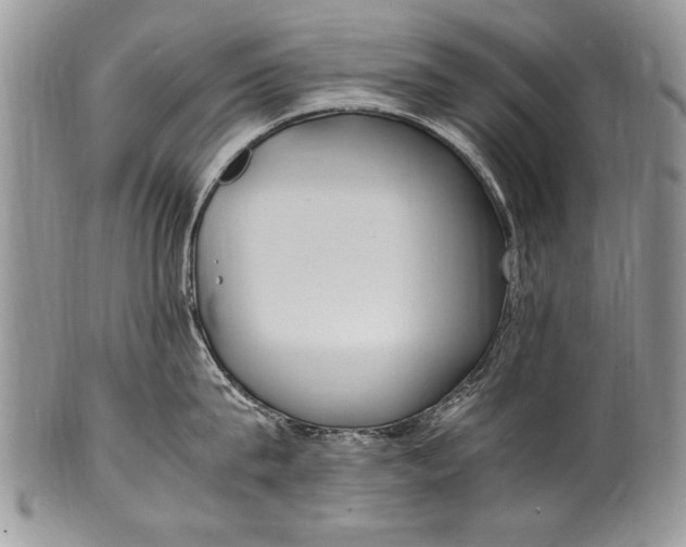 X0000100420815200806201821
